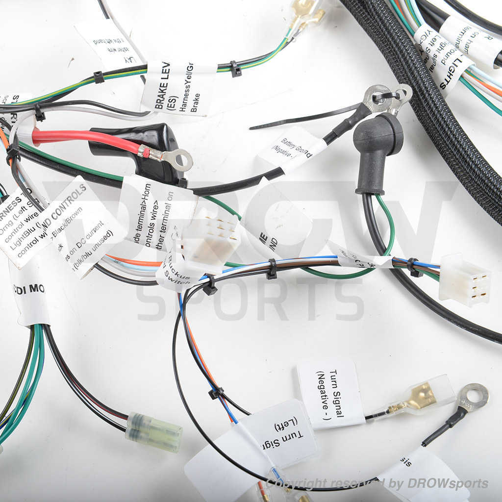 Part Shop Max aka Dan Max Ruckus GY6 150cc Swap Harness