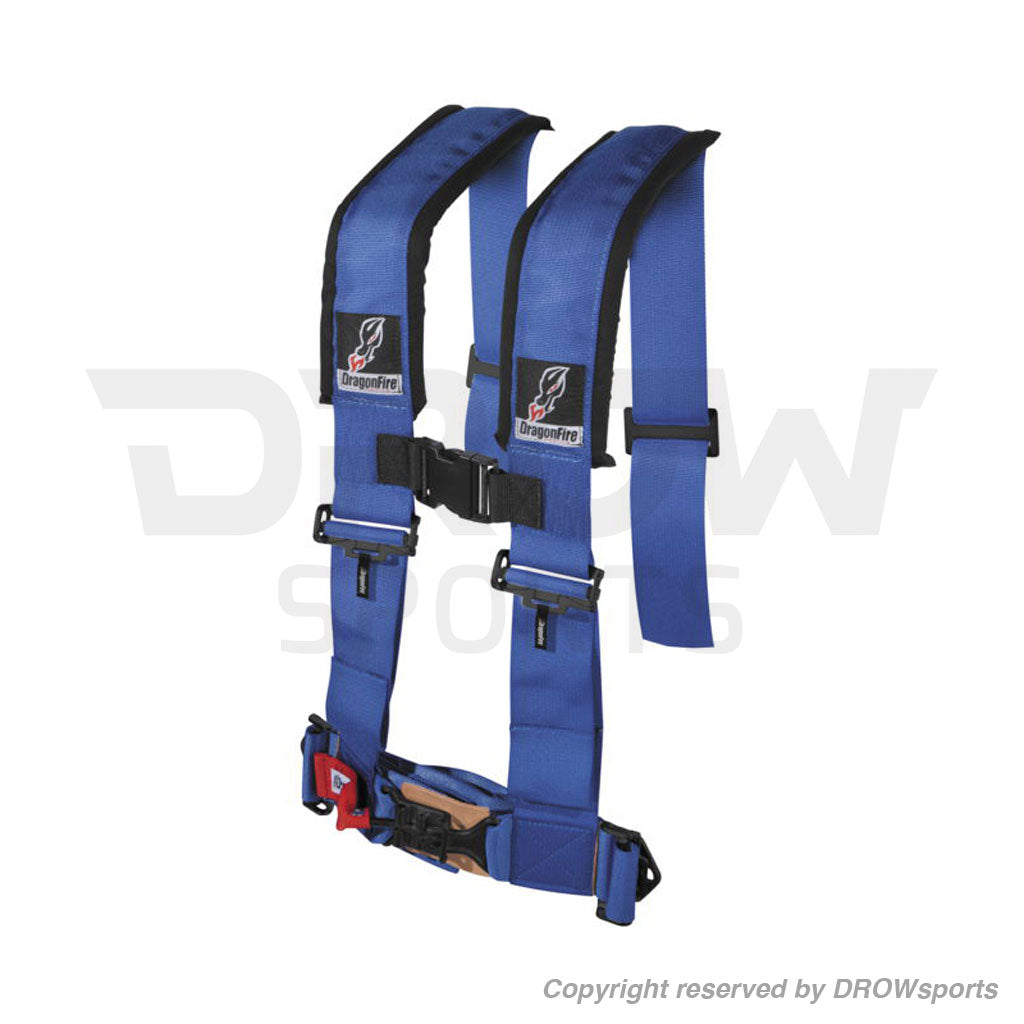Dragonfire 4-Point Harness Restraints