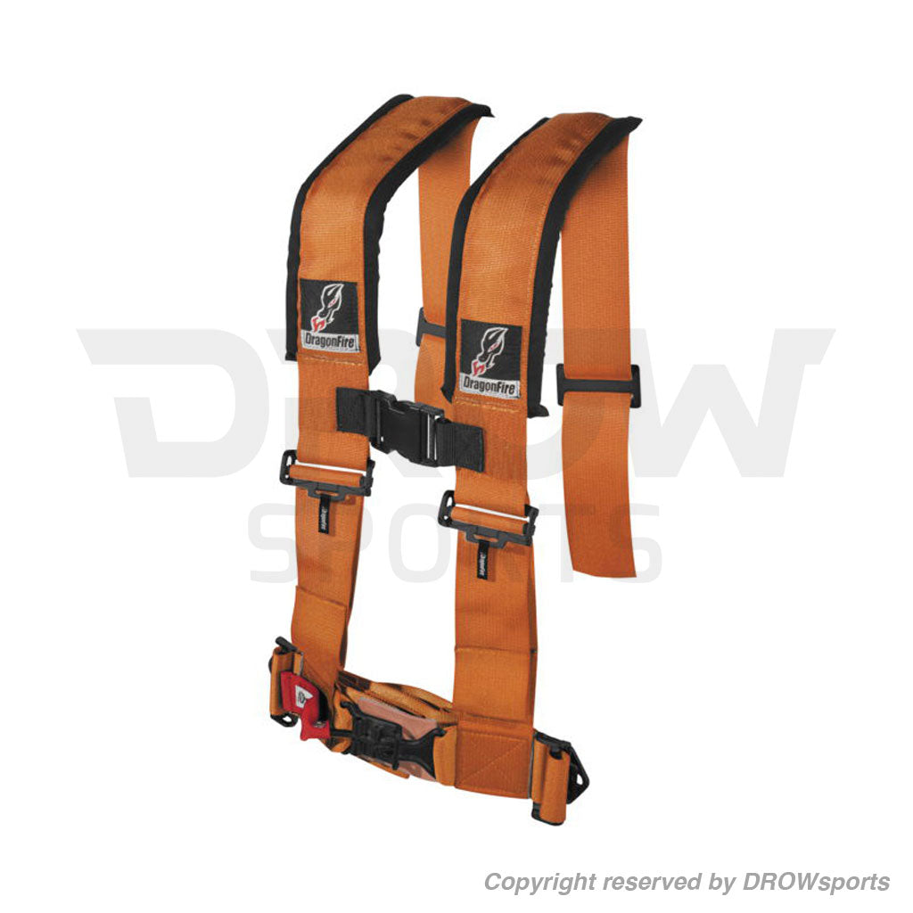 Dragonfire 4-Point Harness Restraints