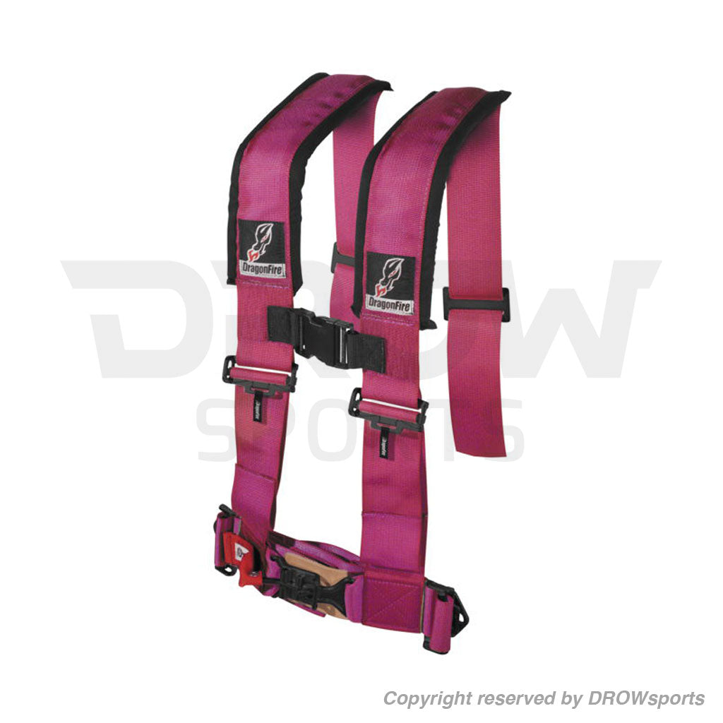 Dragonfire 4-Point Harness Restraints