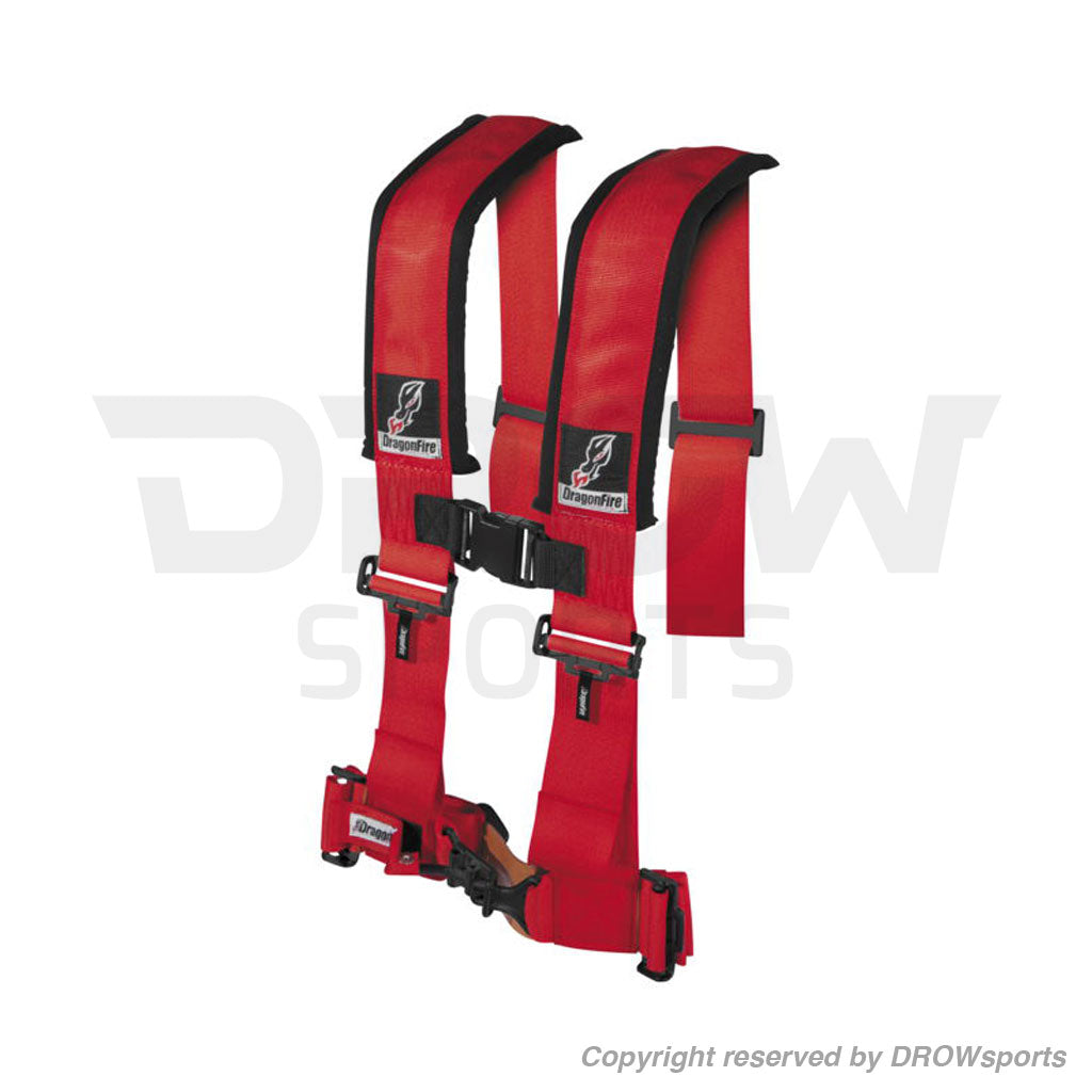 Dragonfire 4-Point Harness Restraints