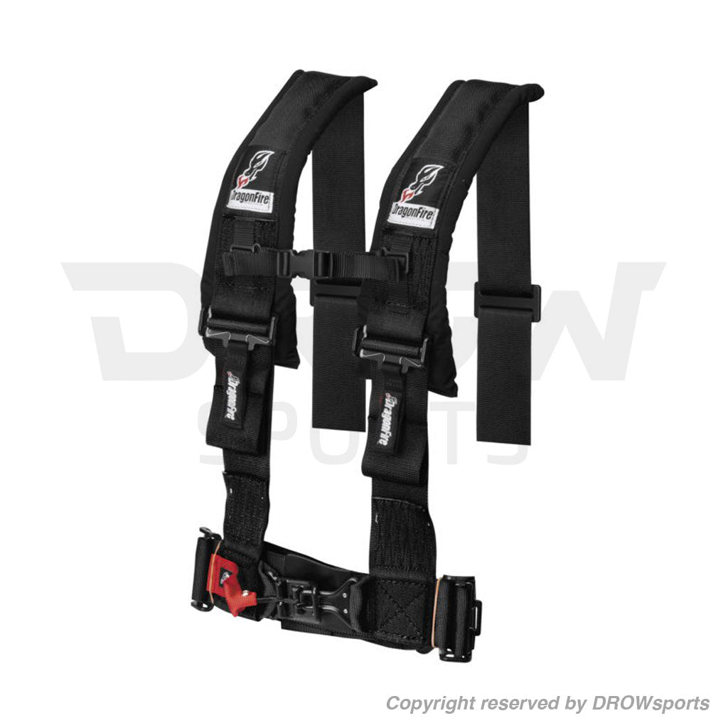 Dragonfire 4-Point Harness Restraints