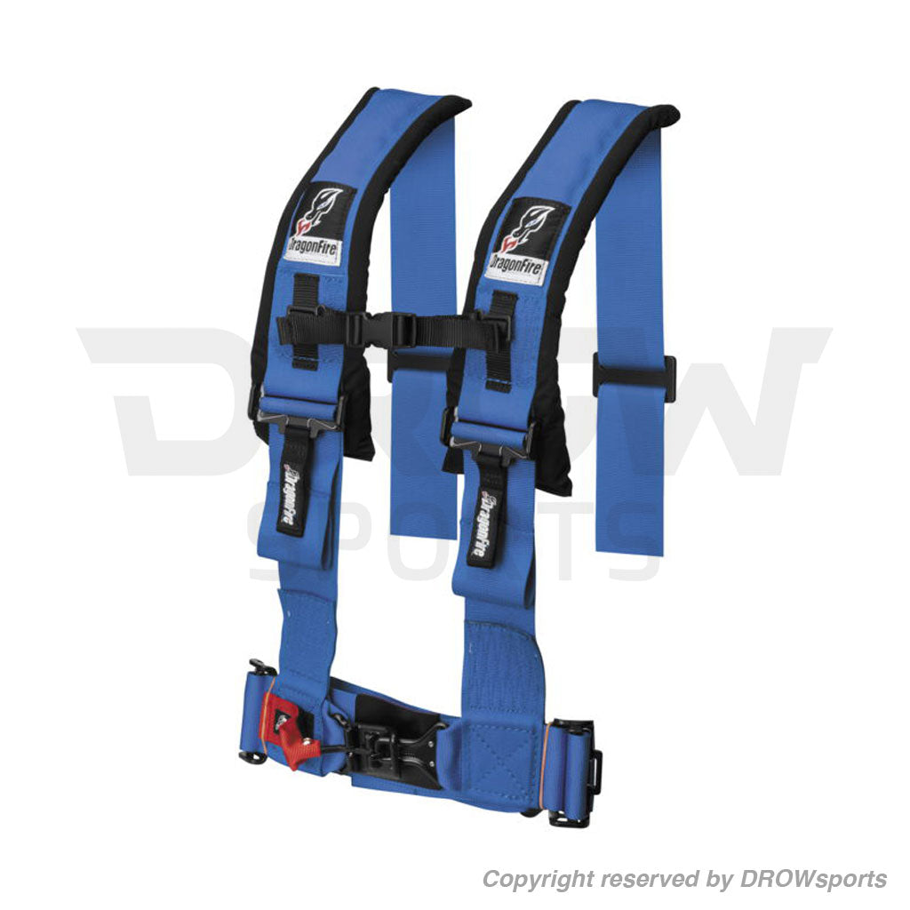 Dragonfire 4-Point Harness Restraints