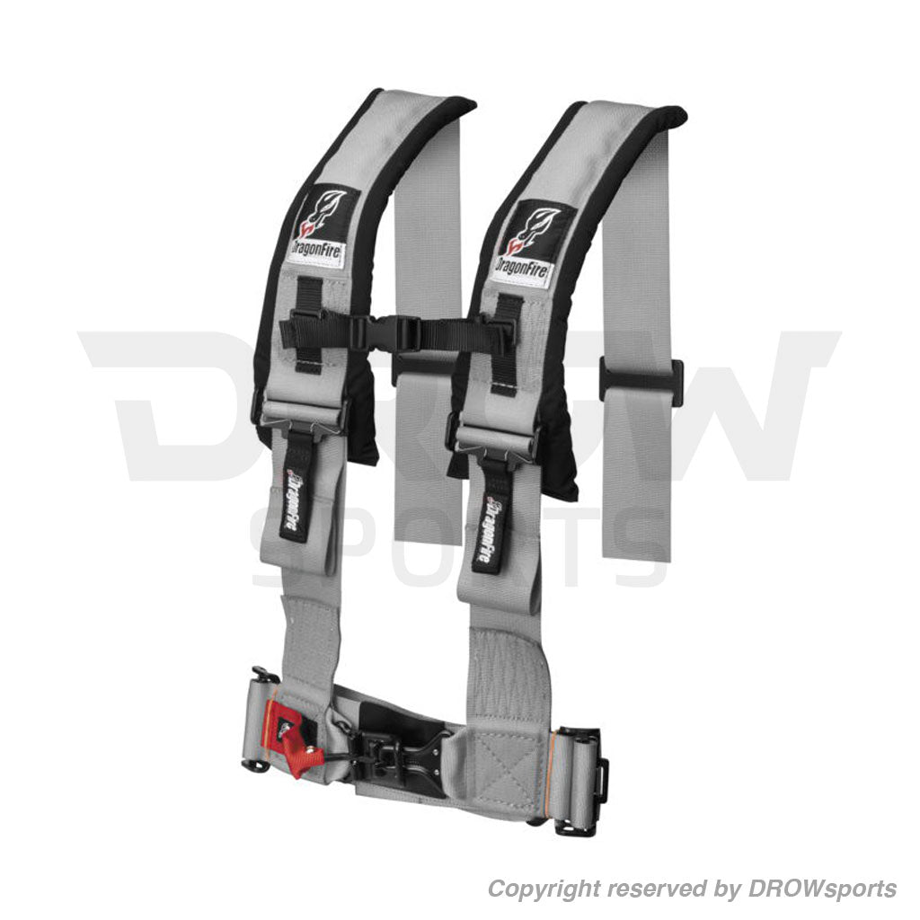 Dragonfire 4-Point Harness Restraints