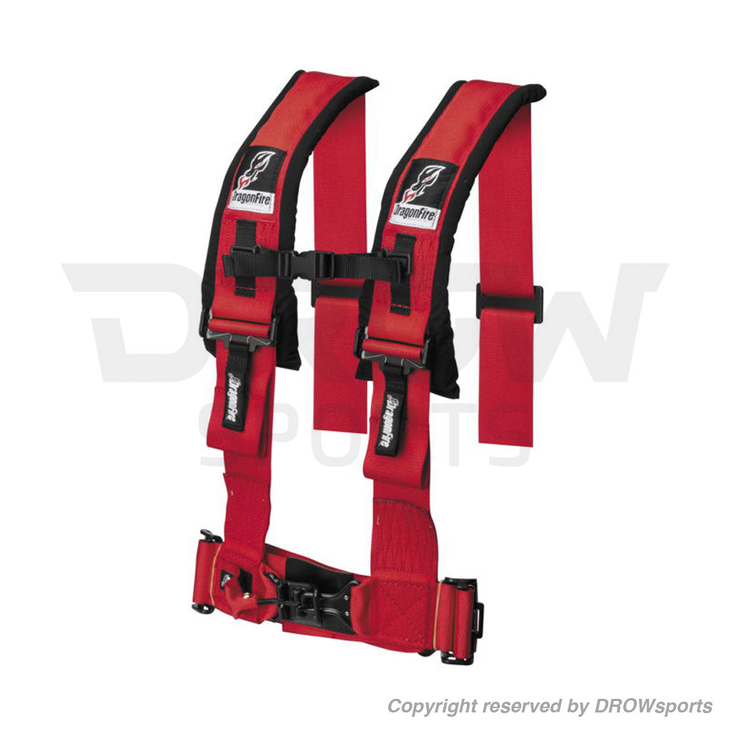 Dragonfire 4-Point Harness Restraints