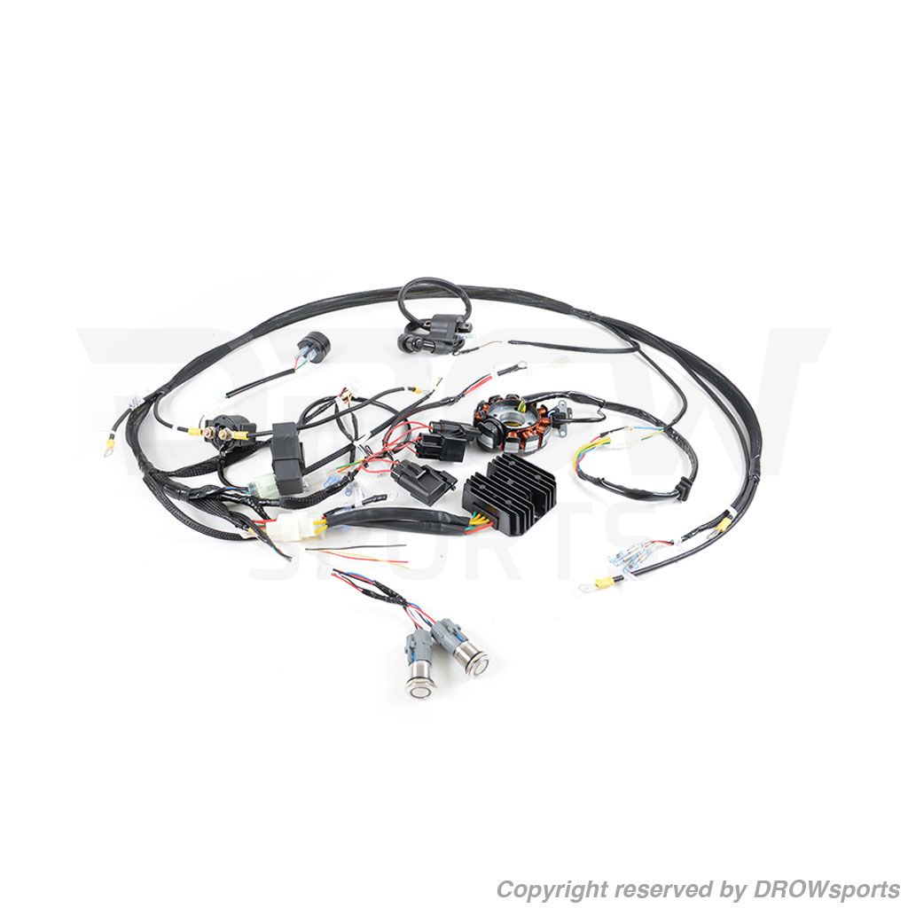 DROWsports 11 Pole GY6 Ruckus Swap Harness