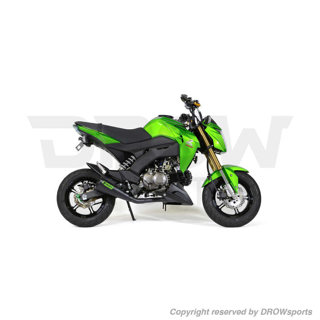 Alien Head 2 Full Exhaust System Kawasaki Z125 Pro 2017