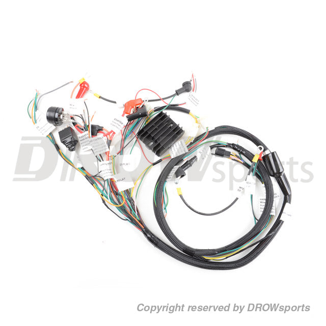 Dan Max Ruckus GY6 Wiring Harness (Plug & Play Upgrade no longer available)