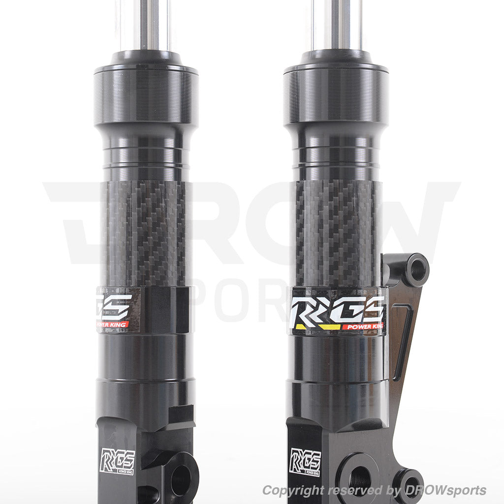 RRGS Honda Ruckus Low Down Carbon Fiber Forks