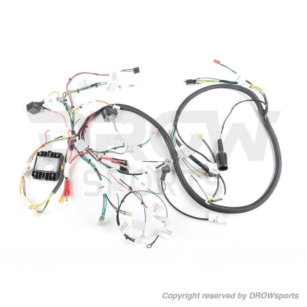 Dan Max Honda Ruckus GY6 150cc Swap Wire Harness  (No longer offer Plug & Play option)