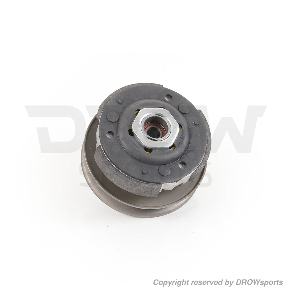 Ruckus Clutch Kit with Polini 3G Adjustable Clutch