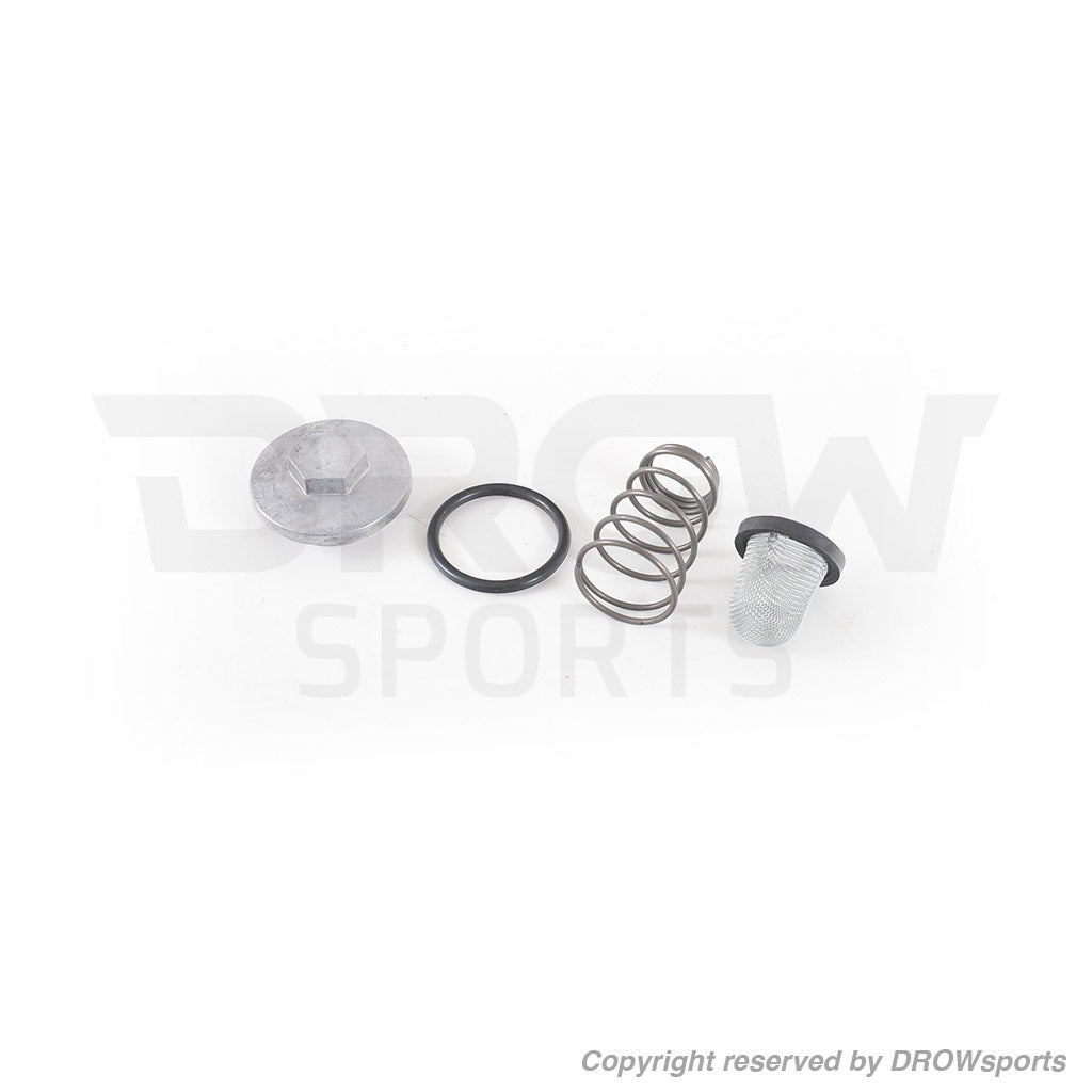 GY6 RZR170 Oil Filter Screen & Plug Kit