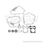 OEM Polaris RZR 170 Replacement Gaskets and Seals