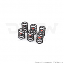 grom stiffer fork springs