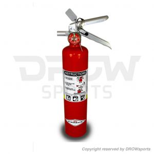 Dragonfire 2.5 lb ABC Fire Extinguisher 
