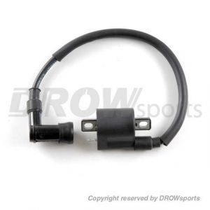 Universal Ignition Coil with Spark Plug Wire (2T Style)