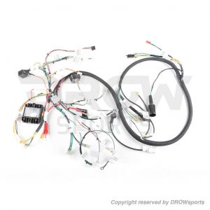 Dan Max Honda Ruckus GY6 150cc Swap Wire Harness  (No longer offer Plug & Play option)
